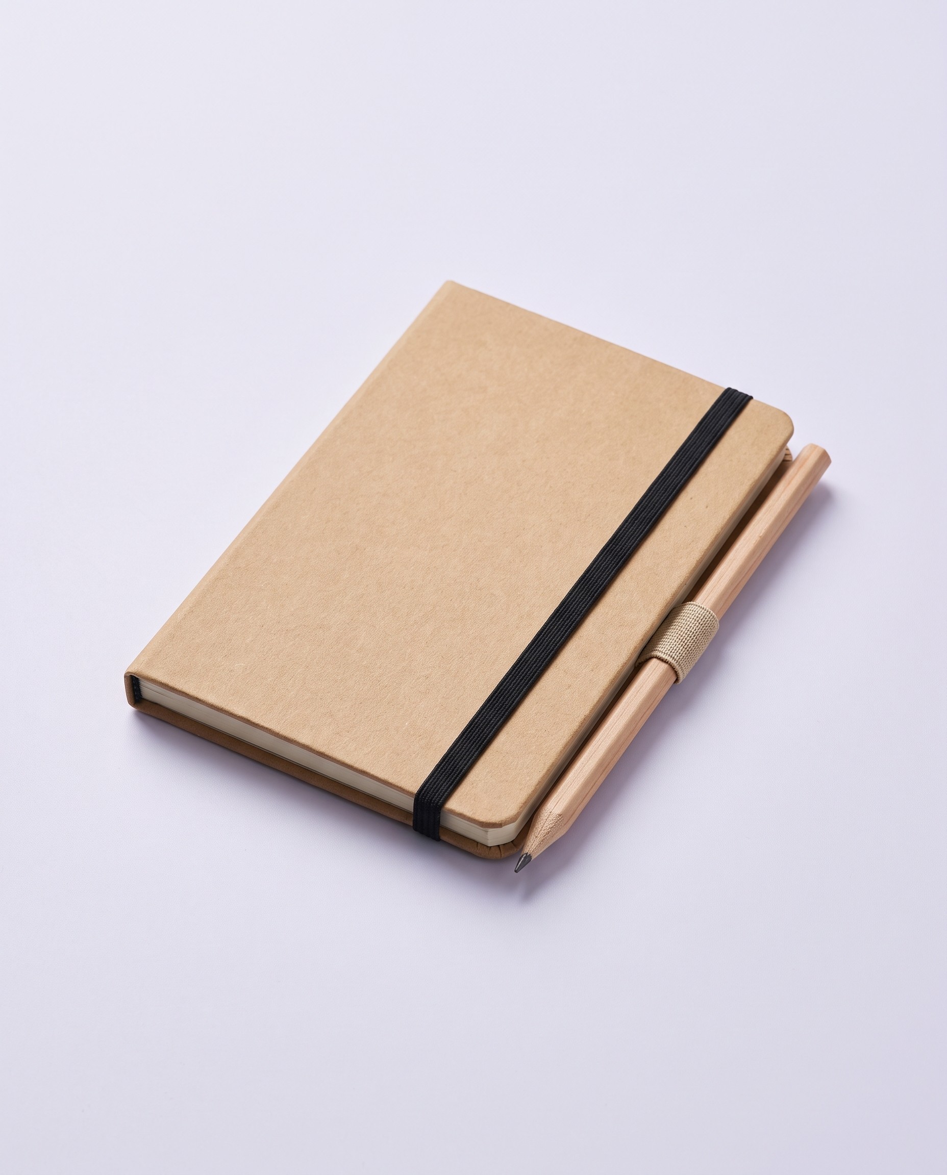 Pocket Field Notebook with Pencil