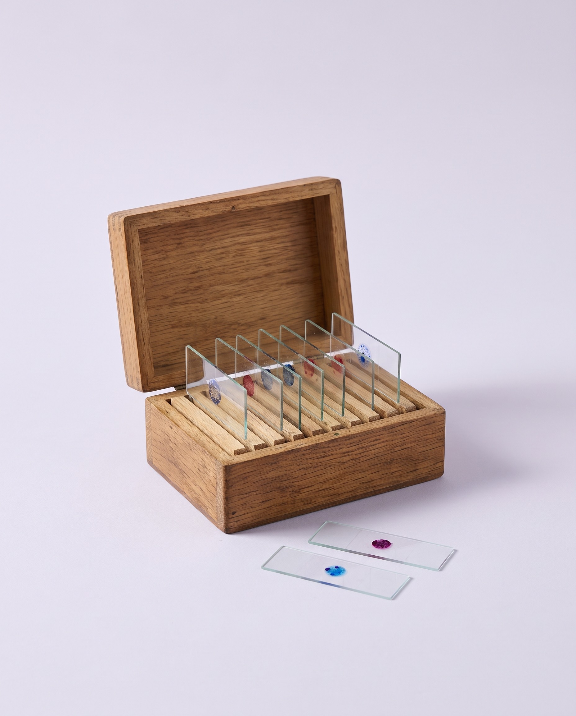 Prepared Microscope Slides, Box of 25